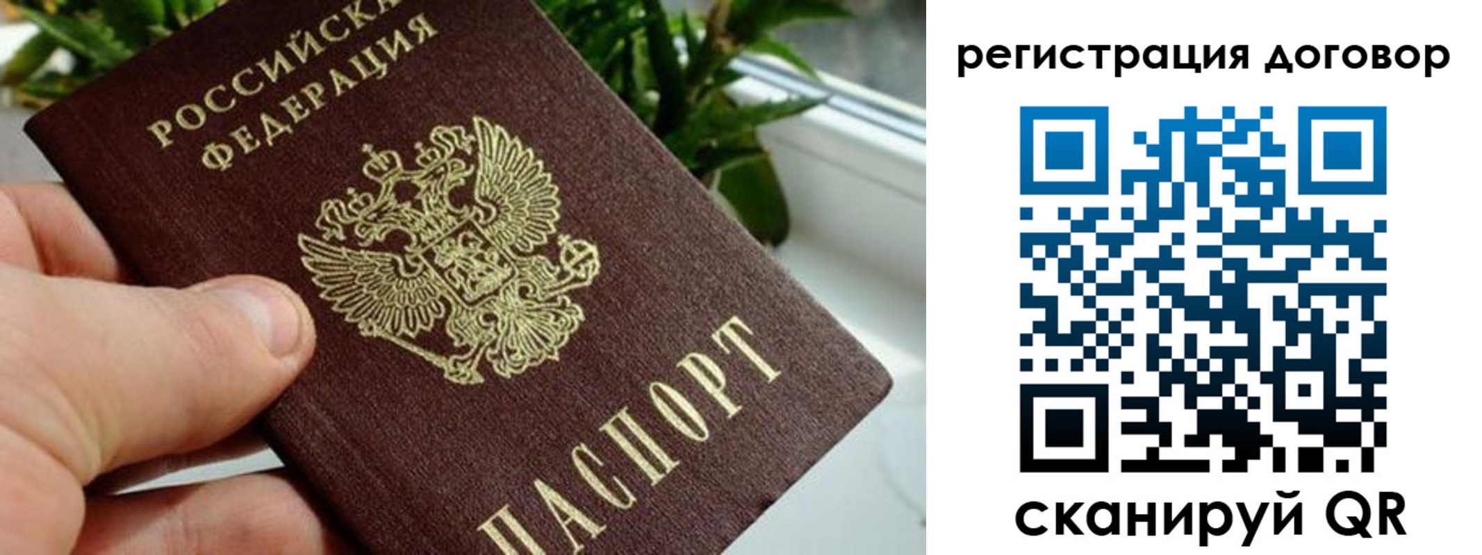 прописка ребенка в Сергиевом Посаде